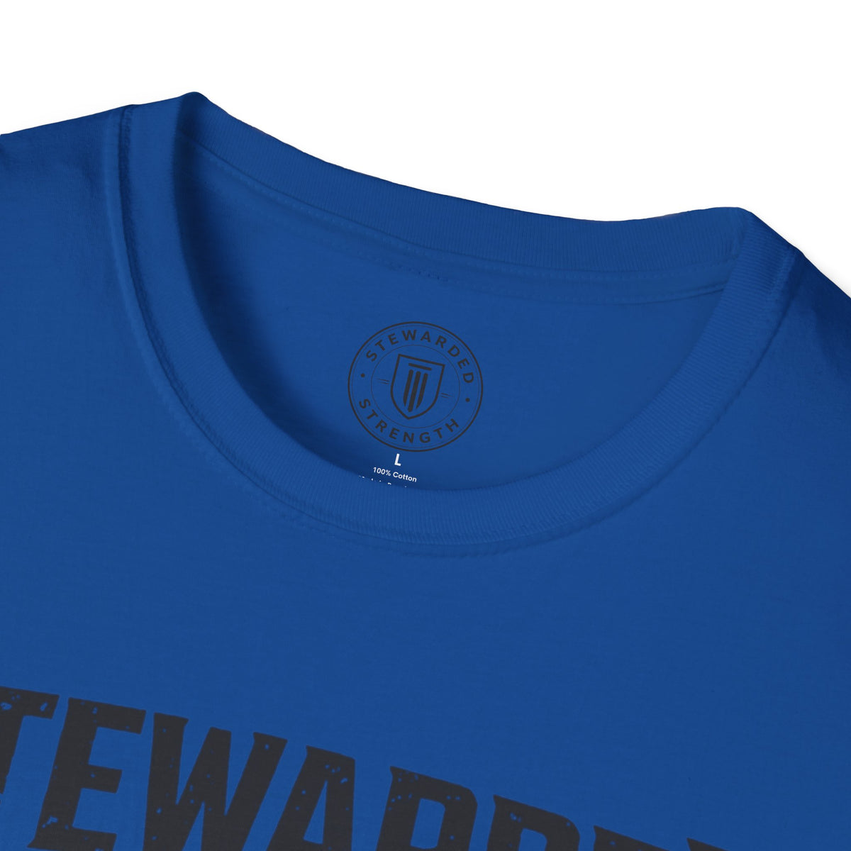 StewardedStrength - Core Issue