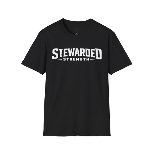 StewardedStrength - Core Issue